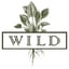 Wild Park Slope